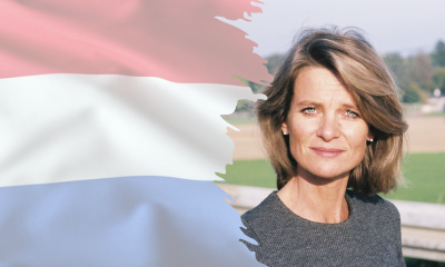 Dutch election webinar
